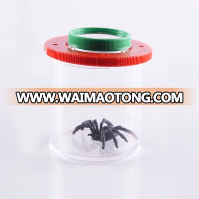 New Small Cylindrical Spider Educational Toy magnifier