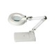 Lt-86c White Multiple LED Illuminated Magnifier