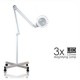 Beauty Salon Use Lamp LED Magnifier